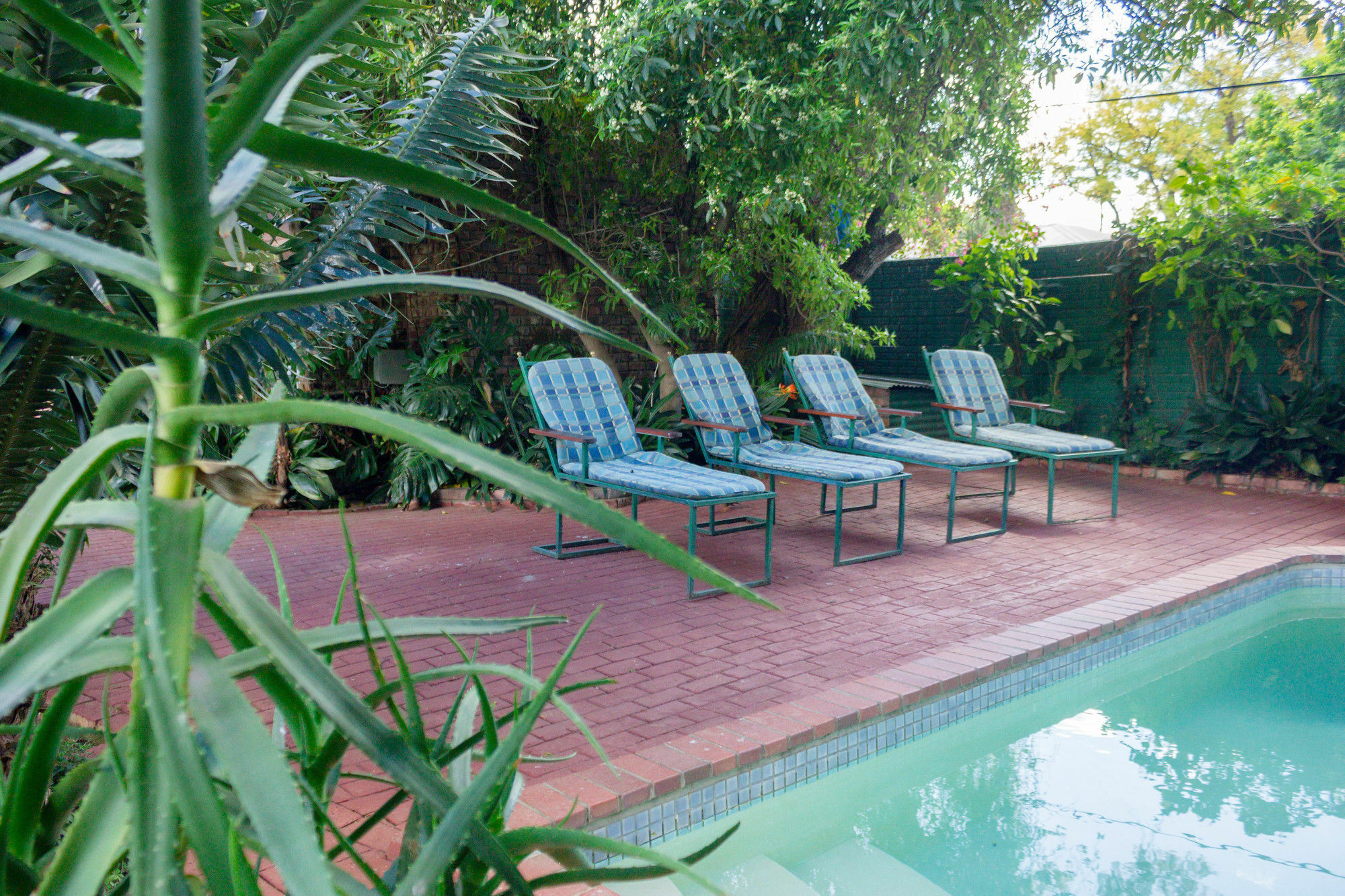 Adley House Panzió Oudtshoorn Kültér fotó