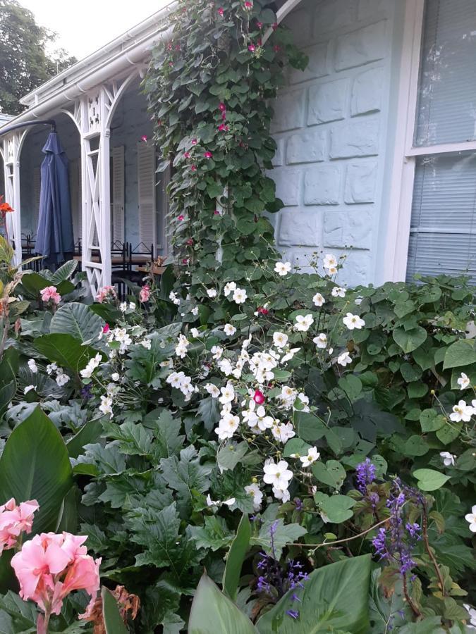 Adley House Panzió Oudtshoorn Kültér fotó